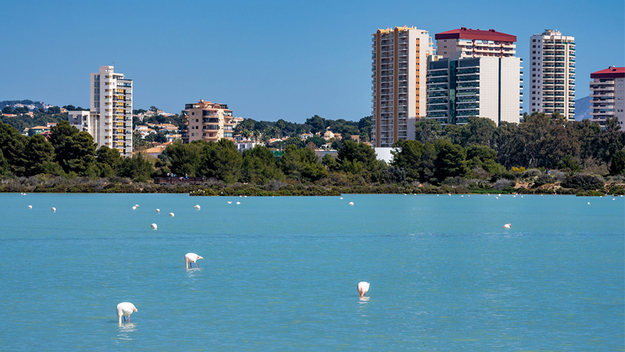 Salinas calpe