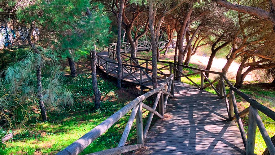 Caminito de madera entre la vegetación en la playa de El Portil.