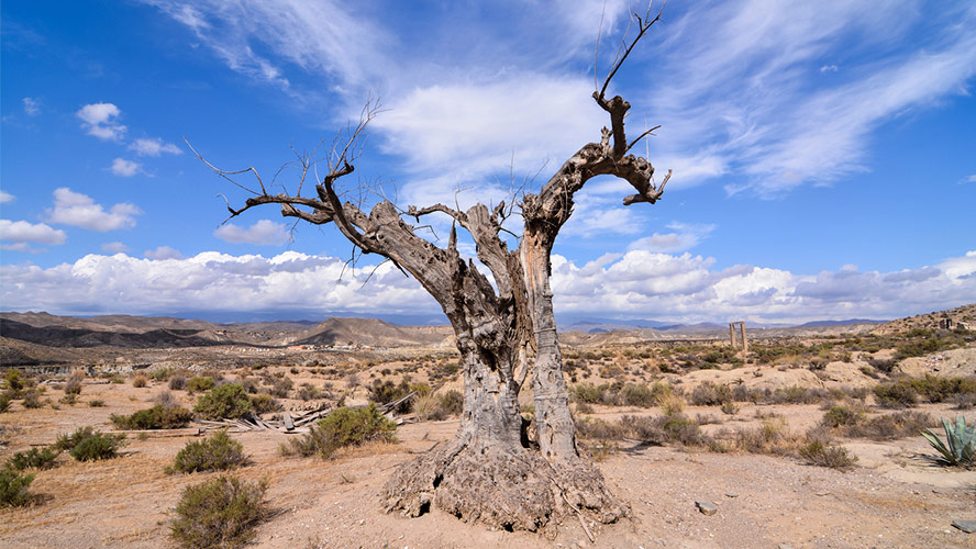 desert in Almeria