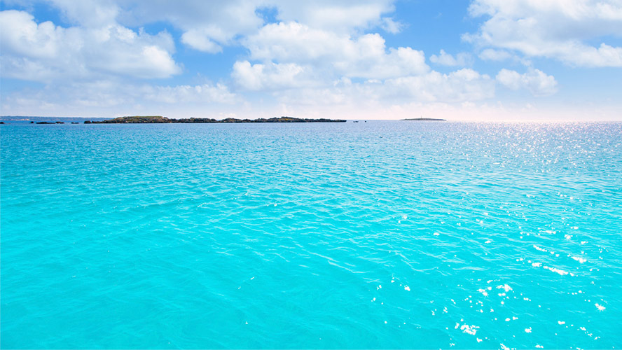 Isla de Espalmador