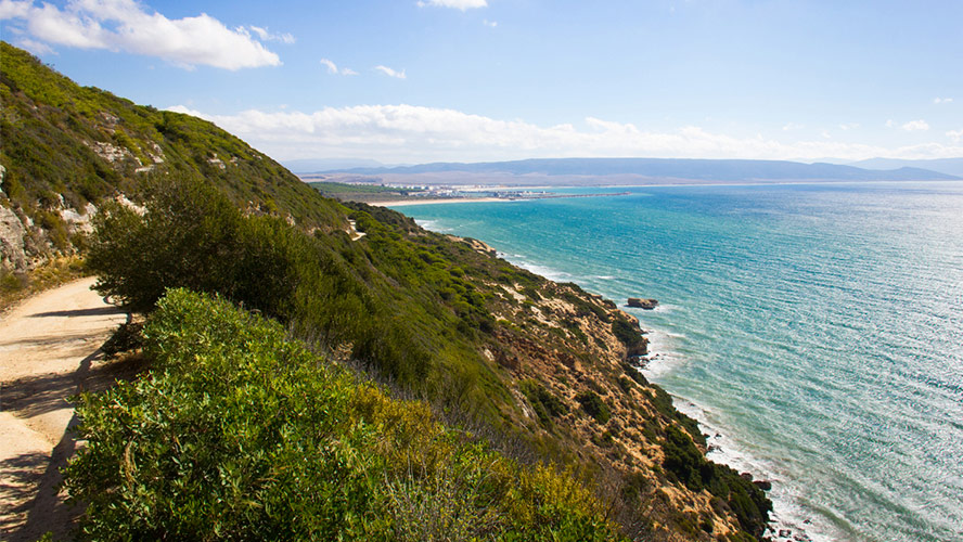 marismas-barbate