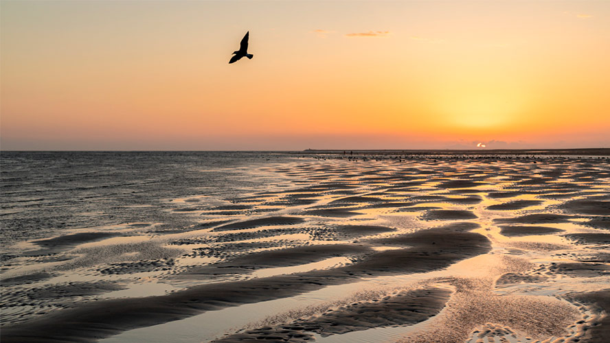 playa-isla-canela