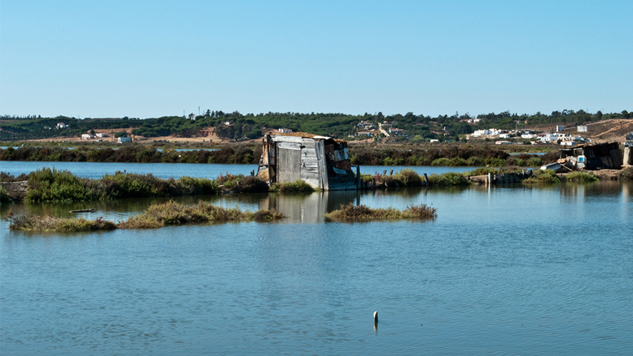 marismas Huelva