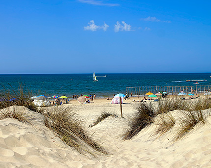 playa de Matalascañas