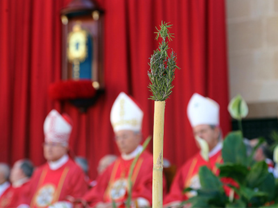 La Santa Faz acoge numerosas ceremonias