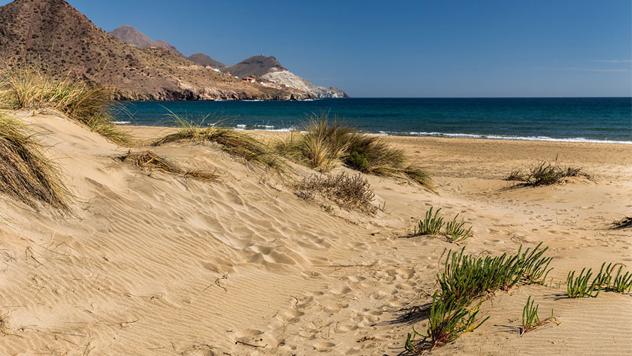 playa de los genoveses