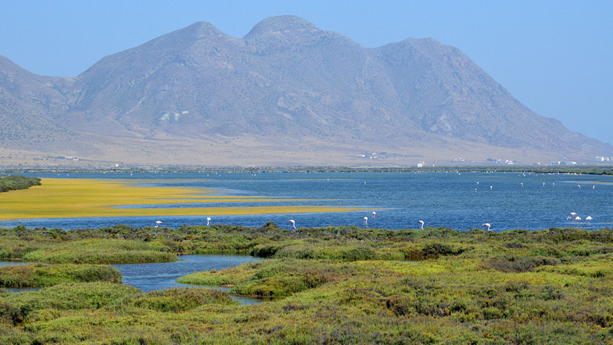 Playa de las Salinas