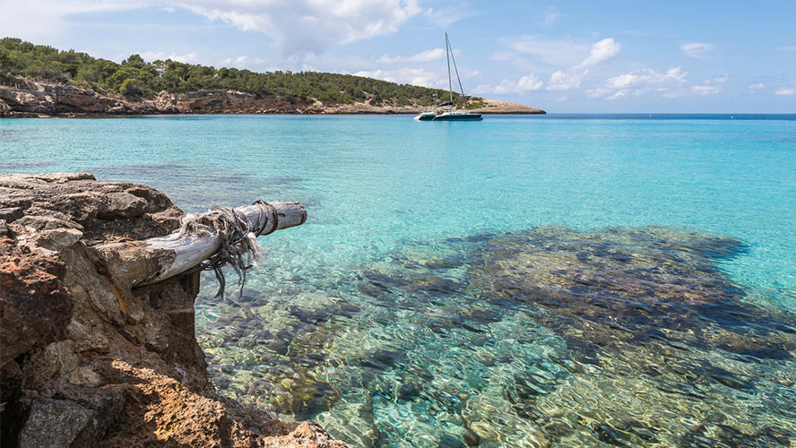 catamaran Portinatx