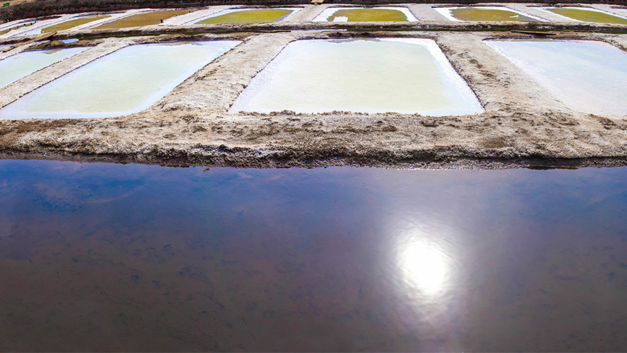 salinas de las marismas