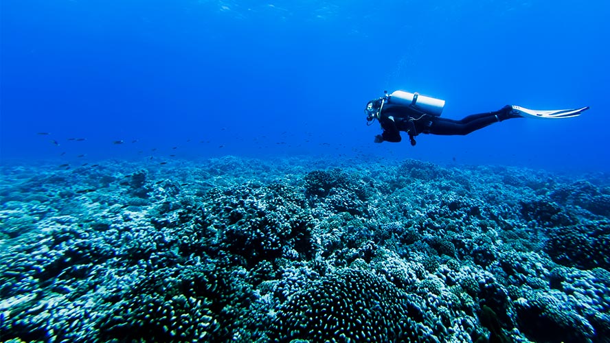 Buceo con equipo en Ibiza