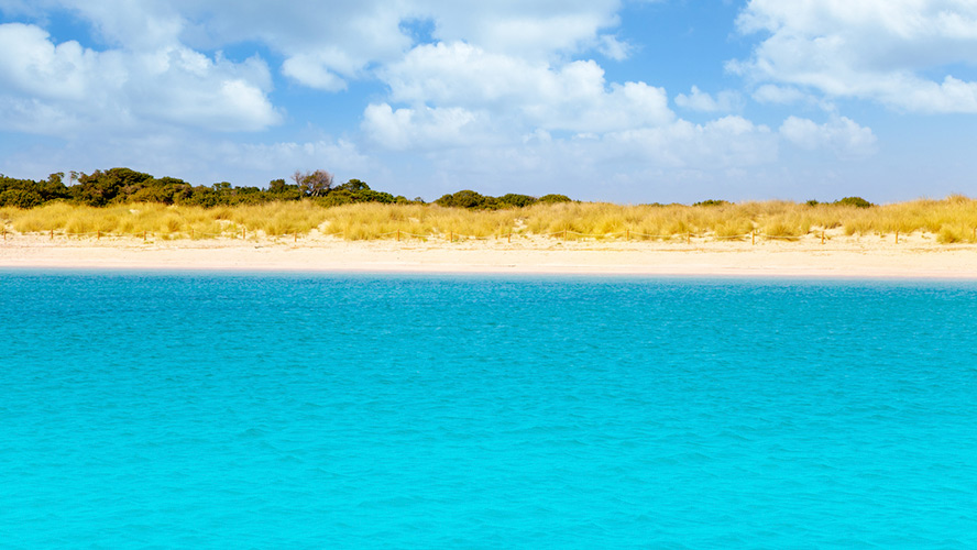 playa de Espalmador