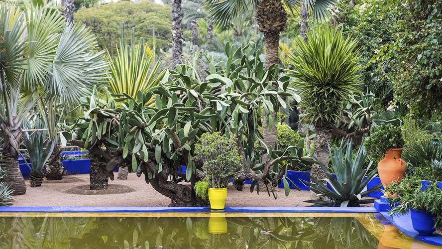 Un paseo por los Jardines de Majorelle