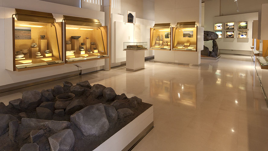 Sala Prehistoria