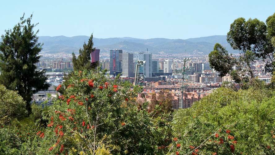 Vistas desde el Jardín Botánico de Barcelona