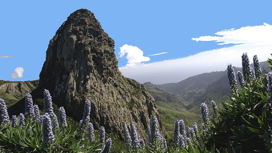Roque de Agando
