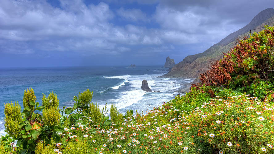 Vistas de la Playa de Benijo