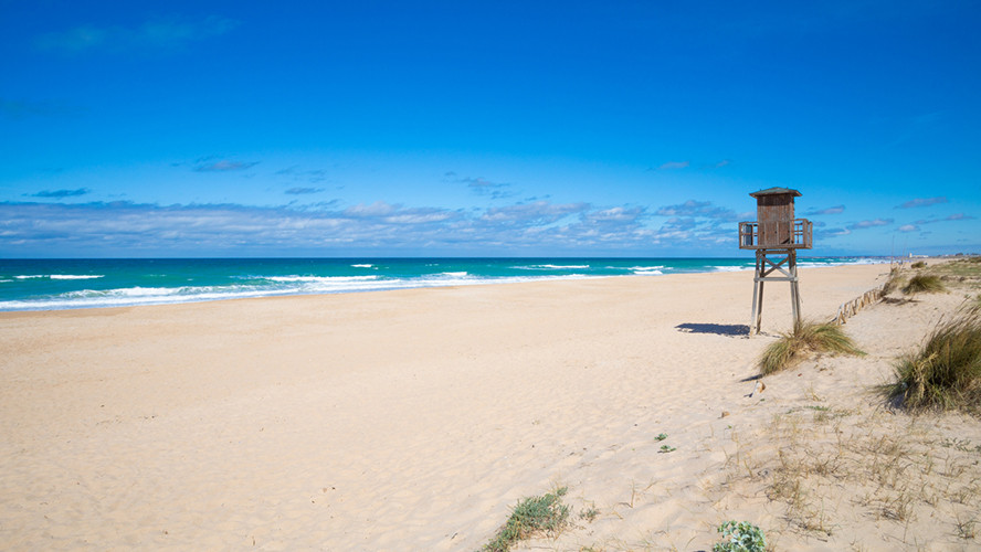 Playa del Palmar