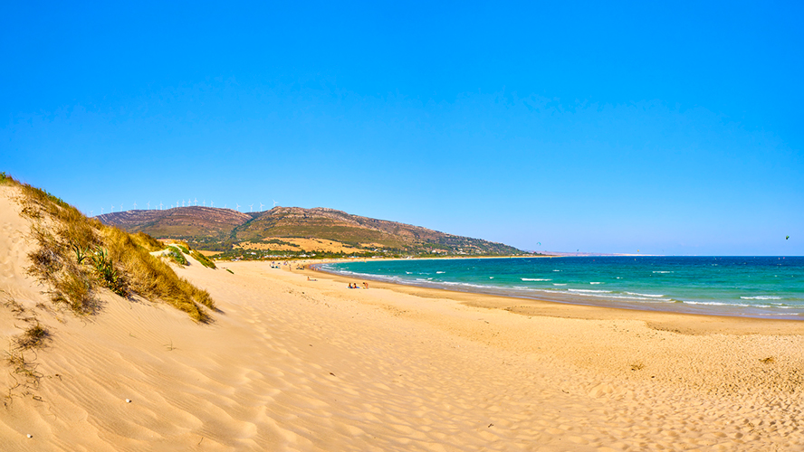 Playa Punta Paloma