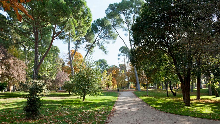 el retiro madrid