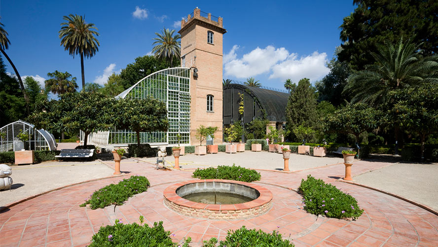 jardin botanico valencia