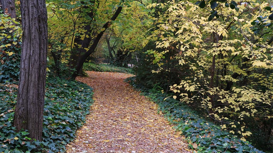 parque del capricho madrid