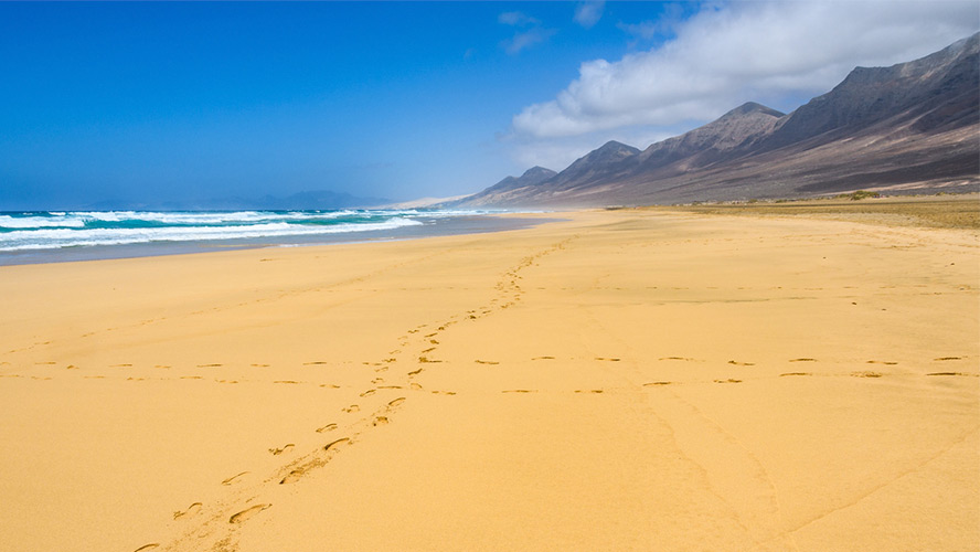 playa de barlovento