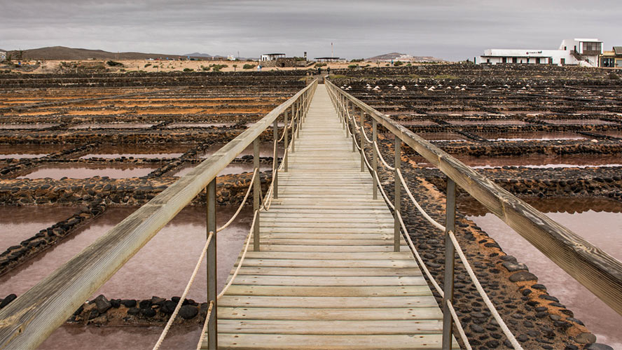 salinas del carmen