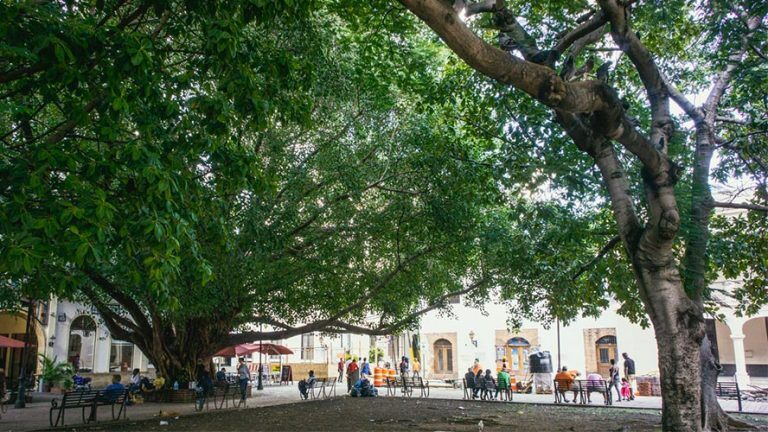 Things to do in Santo Domingo, the great Caribbean capital