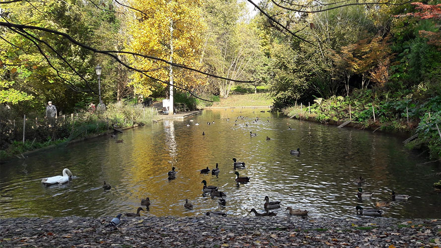 Parque de Cristina Enea