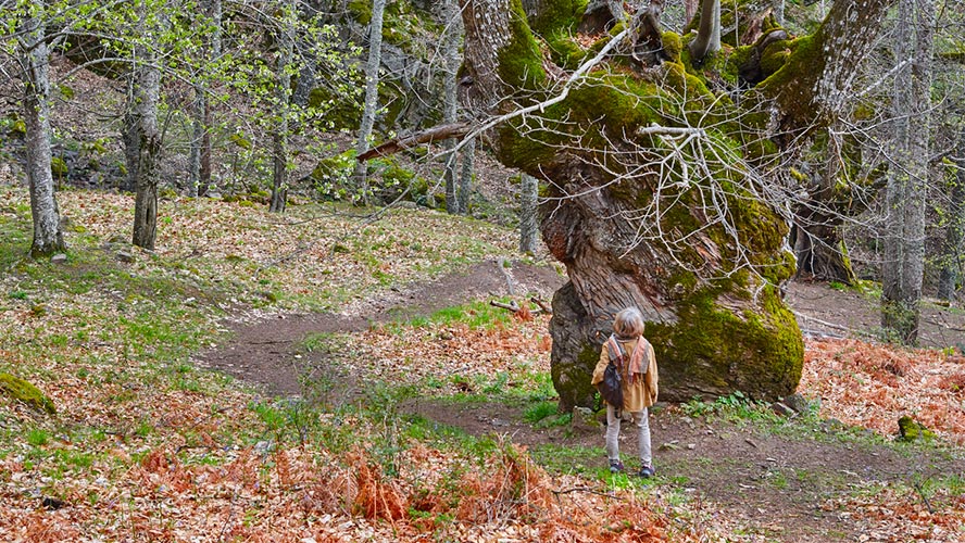 valle de ambroz_caceres