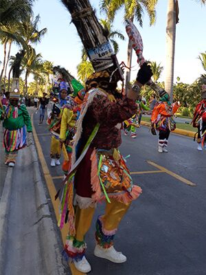 carnaval dominicano