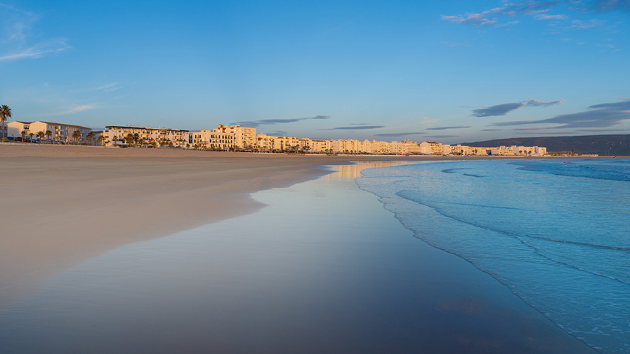 Barbate