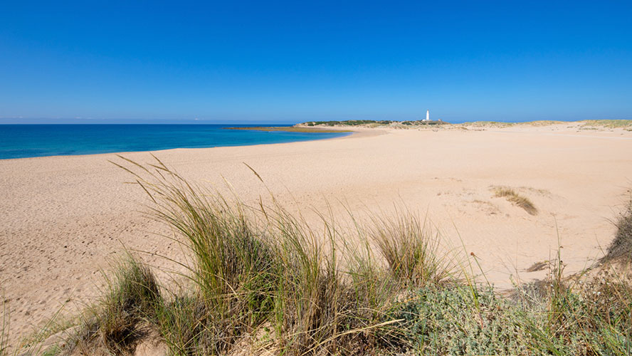 canos-de-meca_playa-del-faro