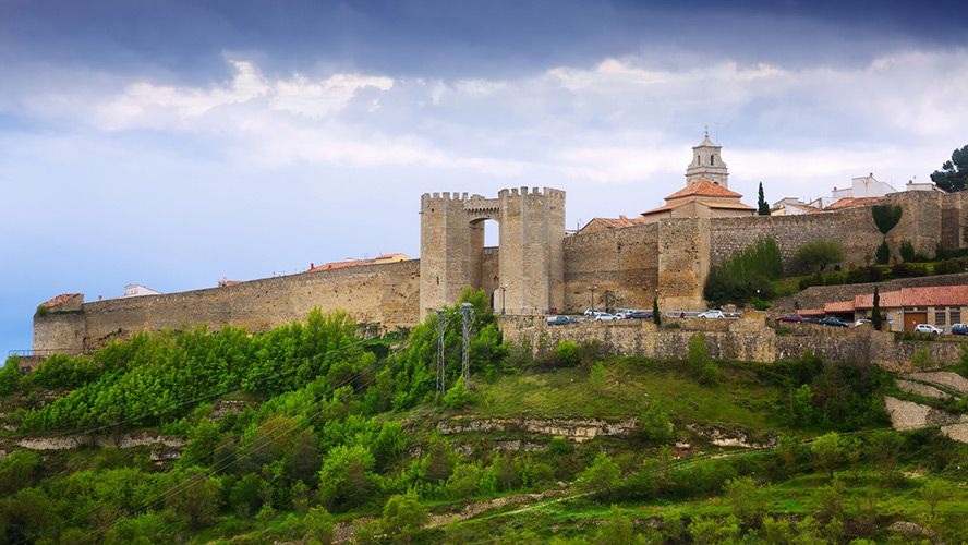 morella-torres