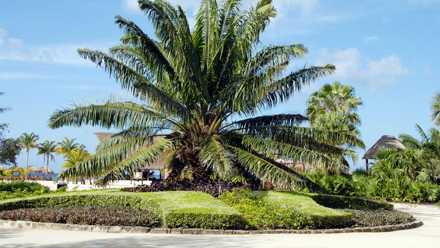 parque-nacional-de-chankanaab