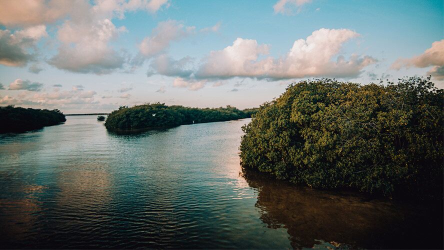 riviera-maya-siankaan