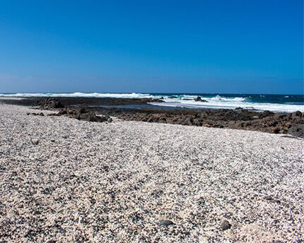 Playa de las Palomitas de Fuerteventura un rincón curioso de la isla