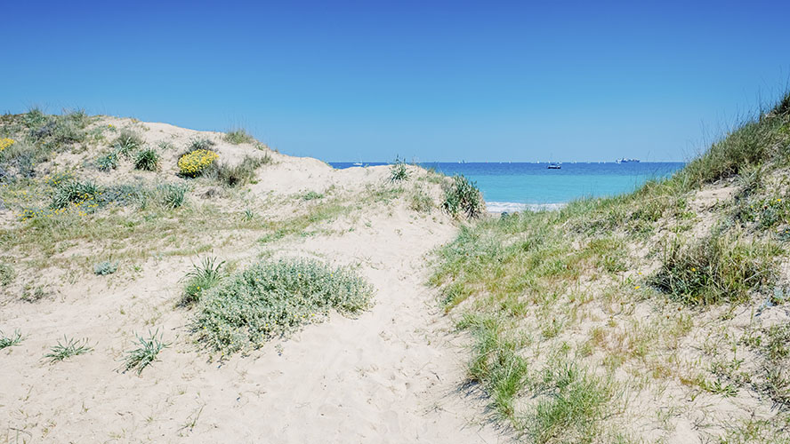 Dunas en la Playa del Saler