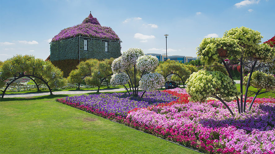 miracle garden dubai