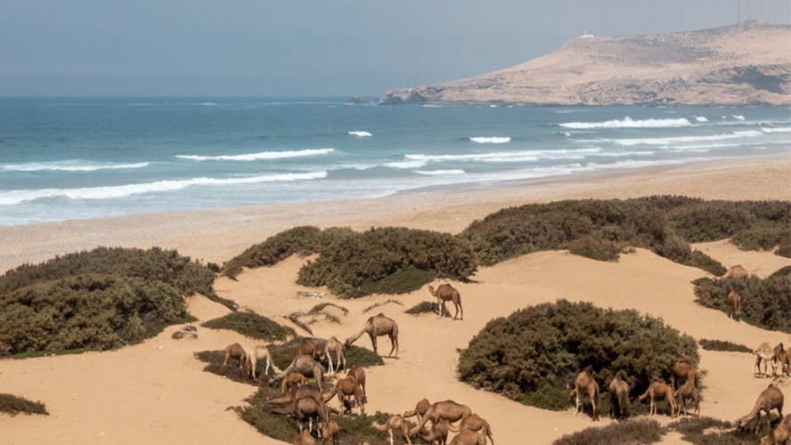 playa de tamri