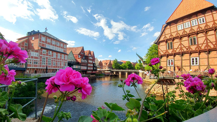 stintmarkt