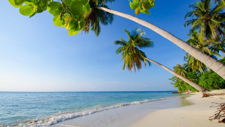 Qué ver en Java, maravillas de la isla de los prodigios - Barceló ...