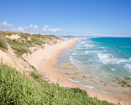 Playas de Conil  Guía de Cádiz