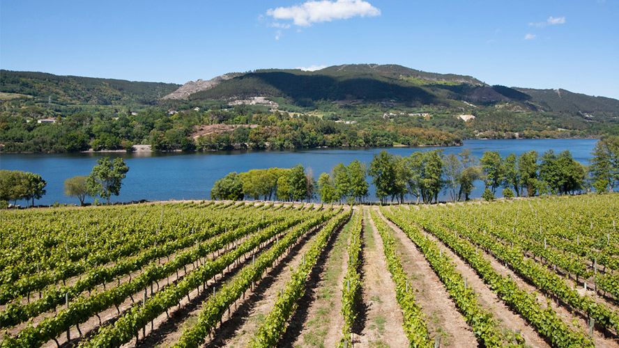 ribeira sacra