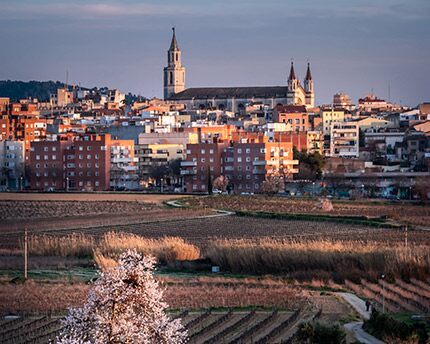 Vilafranca del Penedès, ciudad histórica y capital del vino y el cava