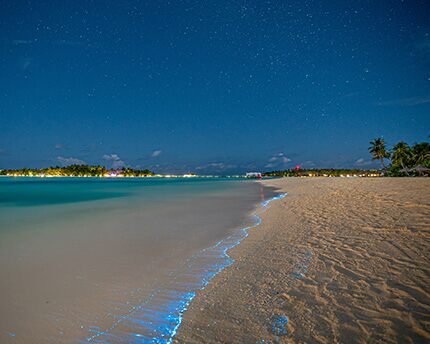 Bioluminiscencia en Maldivas, un fenómeno natural único