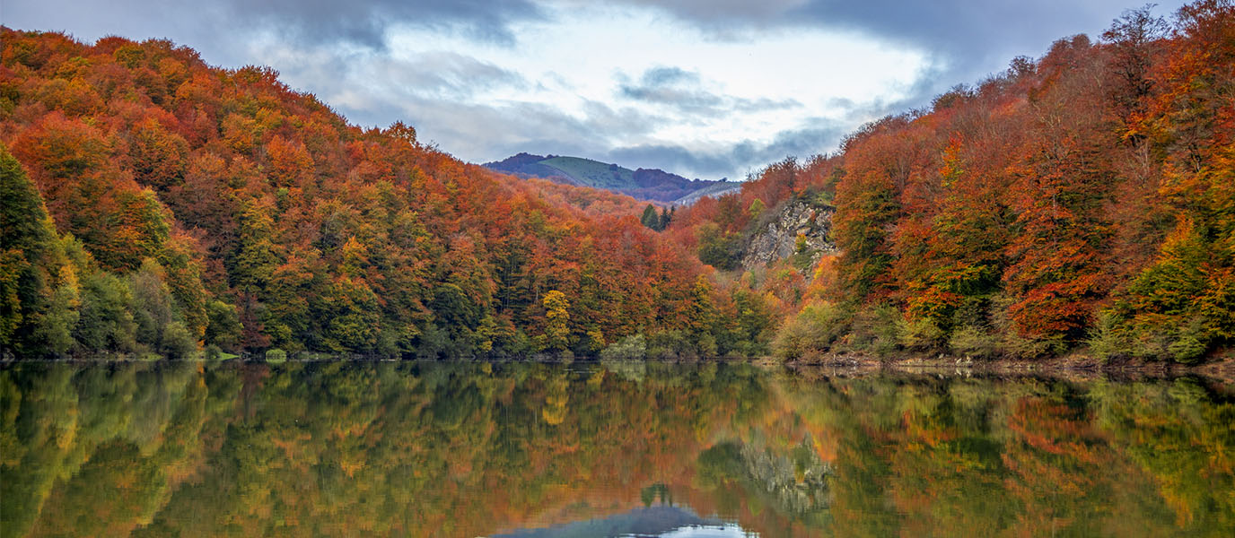 Irati Forest, the biggest beech and fir forest in Spain