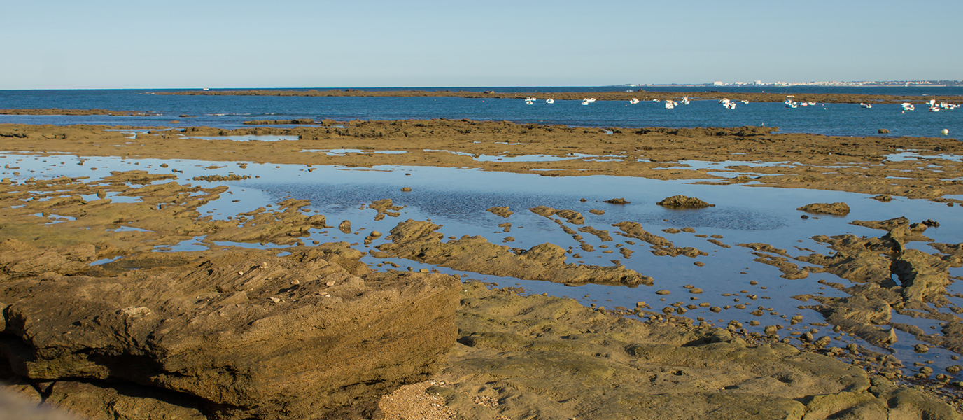 Sancti Petri Marshes, a sanctuary between land and sea