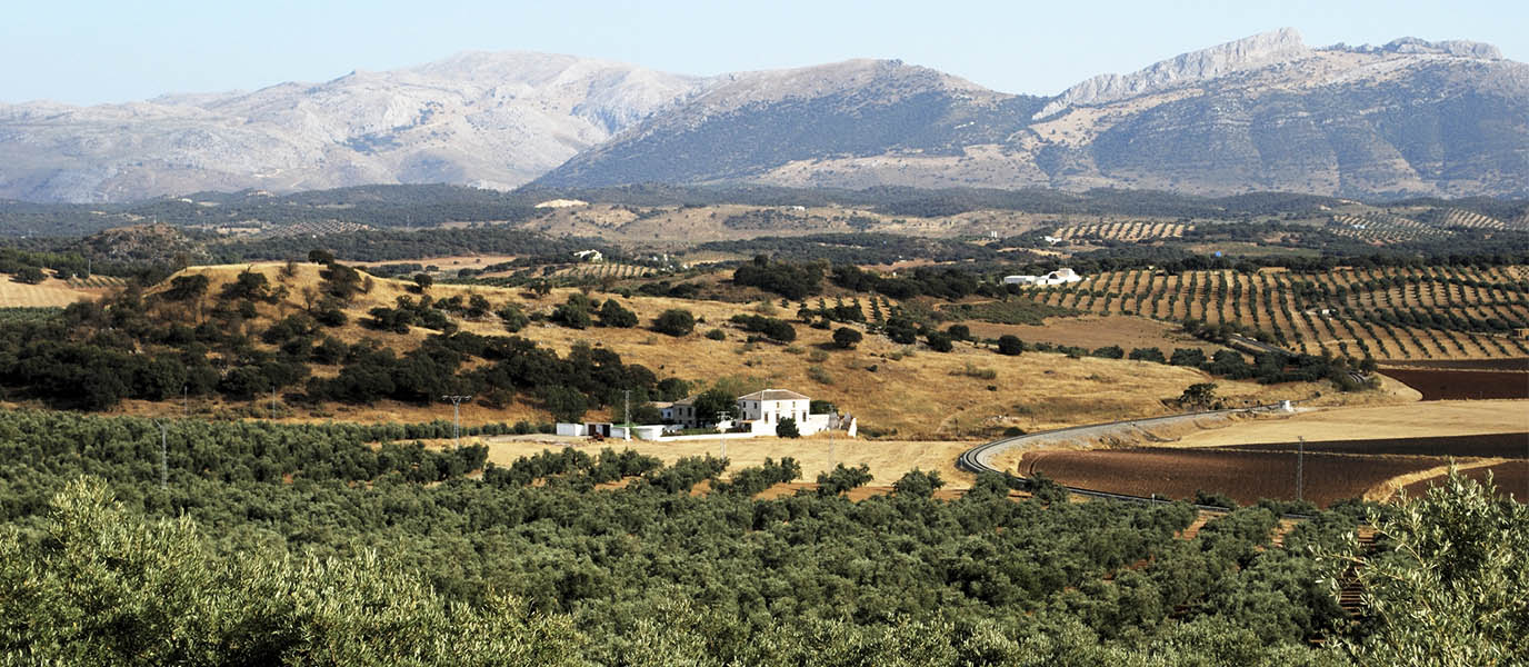 Qué ver en Archidona, la Señora de la Altura para los romanos