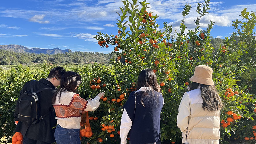 Excursión Huerto de Naranjos